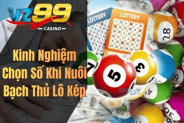 Nuôi Bạch Thủ Lô Kép Khung 2 Ngày – Chiến Thuật Dự Đoán Số May Mắn Kinh Nghiệm Chọn Số Khi Nuôi Bạch Thủ Lô Kép