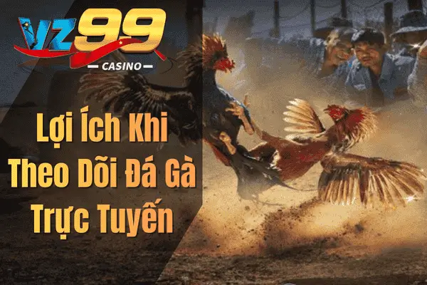 Cách Chơi Đá Gà Thomo – Hướng Dẫn Từ Cơ Bản Đến Nâng Cao Lợi Ích Khi Theo Dõi Đá Gà Trực Tuyến