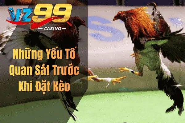 Đá Gà Cựa Sắt VZ99: Hướng dẫn bắt kèo chuẩn cho người mới Những Yếu Tố Quan Sát Trước Khi Đặt Kèo