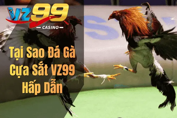 Đá Gà Cựa Sắt VZ99: Hướng dẫn bắt kèo chuẩn cho người mới Tại Sao Đá Gà Cựa Sắt VZ99 Hấp Dẫn
